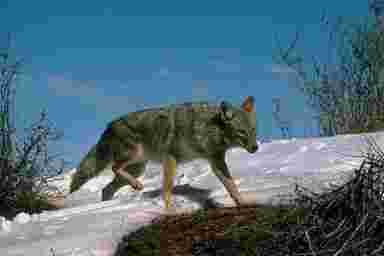 pomme paris,cuisine pomme,salon prive paris,