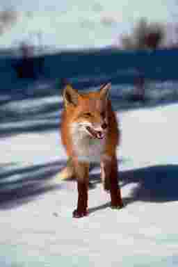 pomze,epicerie fine paris,salon privatif paris,