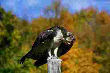 salon privatif paris,pomze,